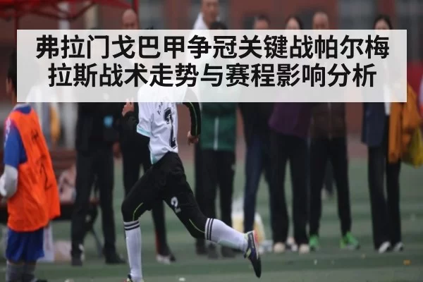 弗拉门戈巴甲争冠关键战帕尔梅拉斯战术走势与赛程影响分析 - KYEsport